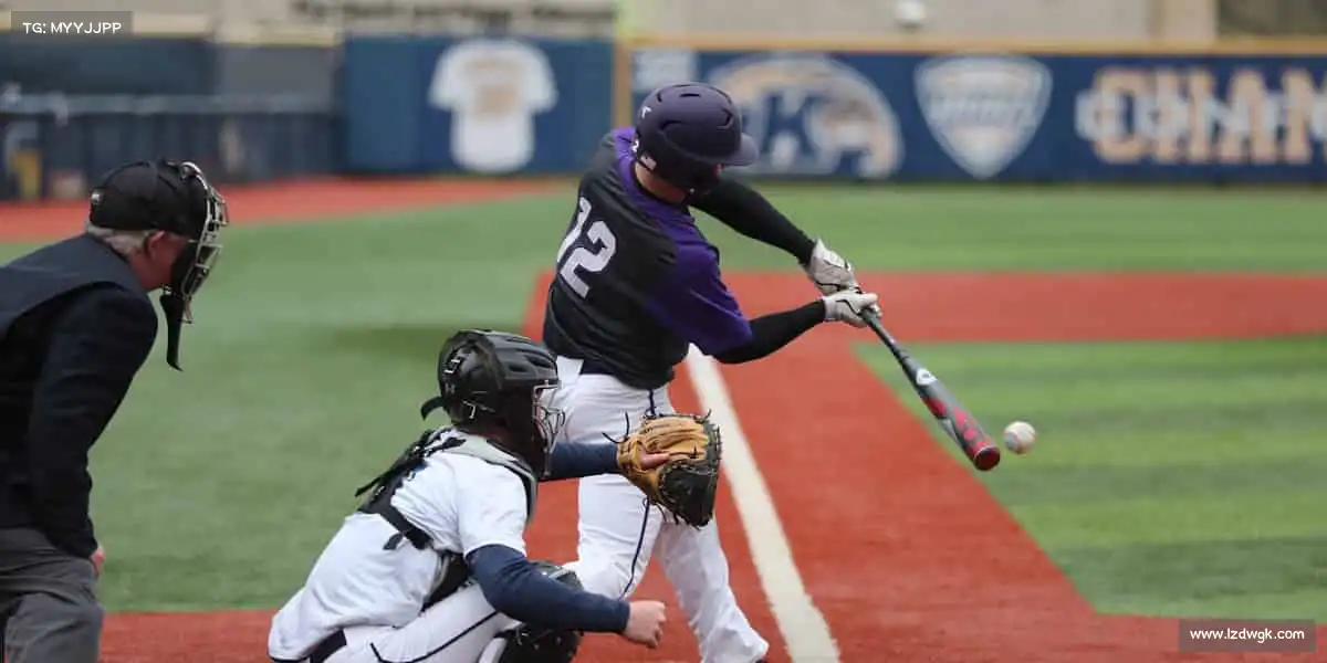 为什么选择我们